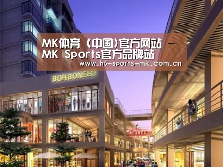 案例展示一