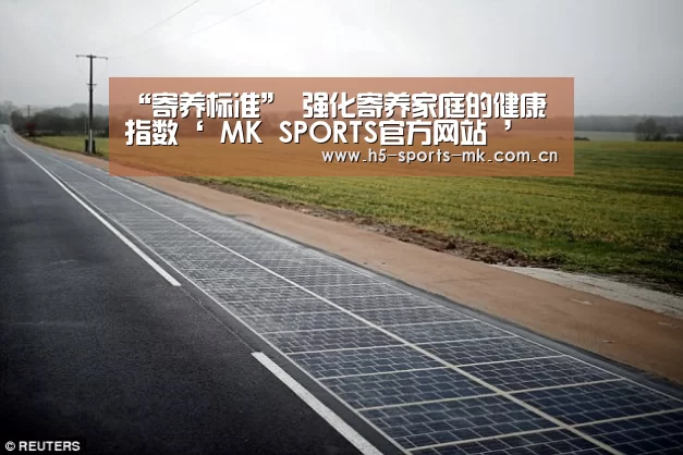 “寄养标准” 强化寄养家庭的健康指数‘ MK SPORTS官方网站 ’(图1) MK SPORTS官方网站