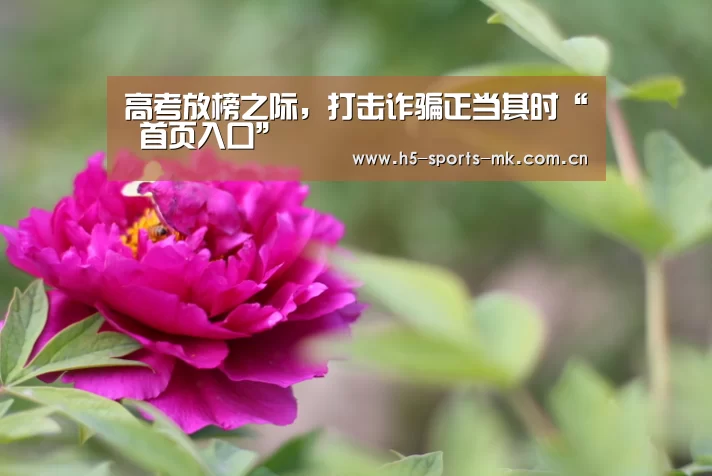 MK体育 