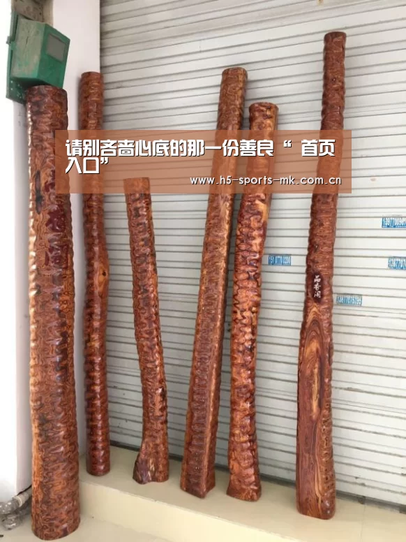  首页入口