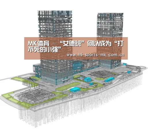  首页入口