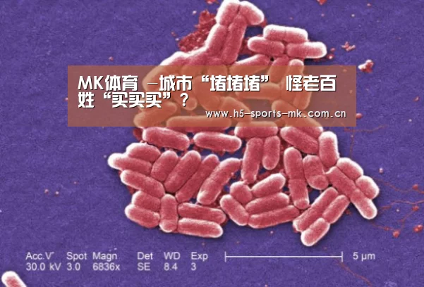 MK体育 