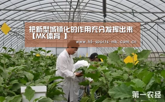 把新型城镇化的作用充分发挥出来【MK体育 】(图2) MK体育