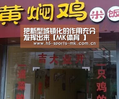 把新型城镇化的作用充分发挥出来【MK体育 】(图3) MK体育